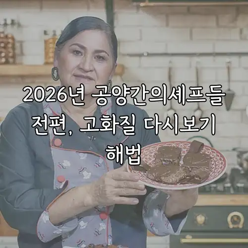 2026년 공양간의셰프들 전편, 고화질 다시보기 해법