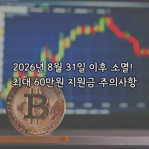 2026년 8월 31일 이후 소멸! 최대 60만원 지원금 주의사항