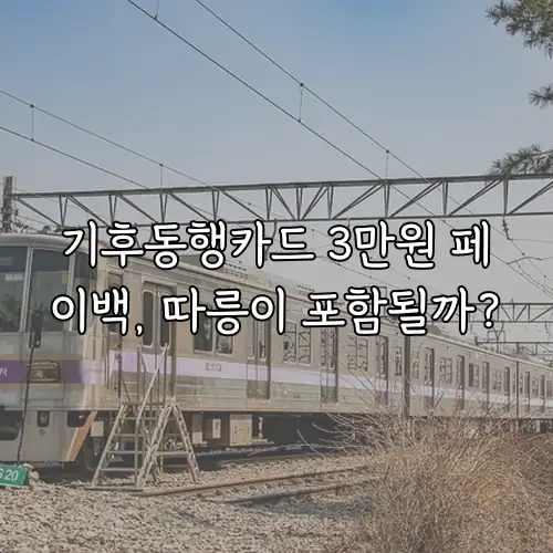 기후동행카드 3만원 페이백, 따릉이 포함될까?