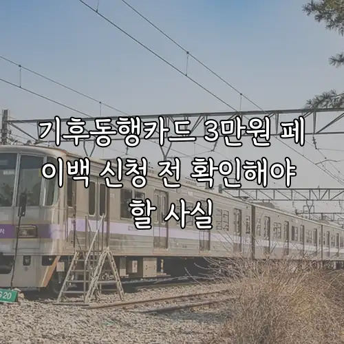 기후동행카드 3만원 페이백 신청 전 확인해야 할 사실