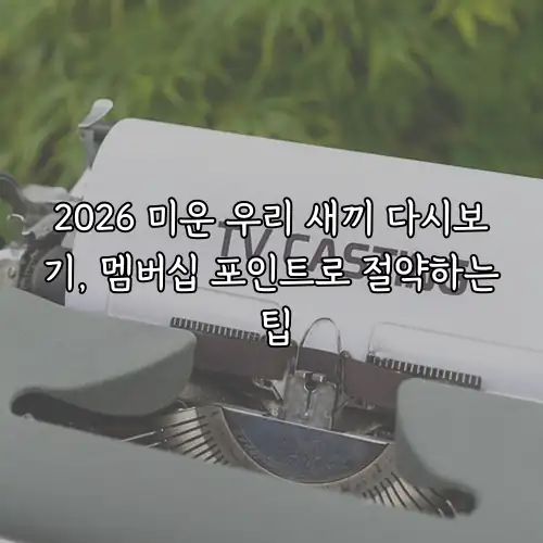2026 미운 우리 새끼 다시보기, 멤버십 포인트로 절약하는 팁