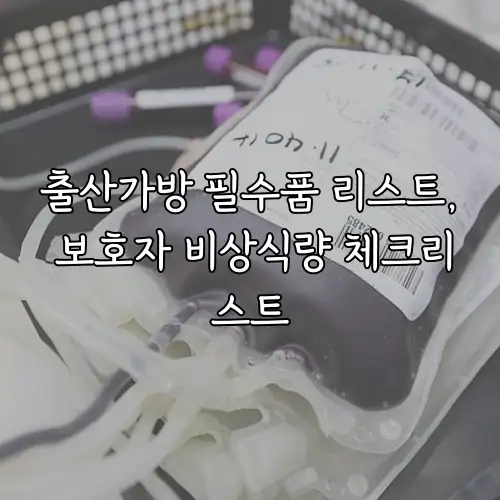출산가방 필수품 리스트, 보호자 비상식량 체크리스트