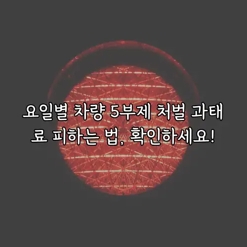 요일별 차량 5부제 처벌 과태료 피하는 법, 확인하세요!