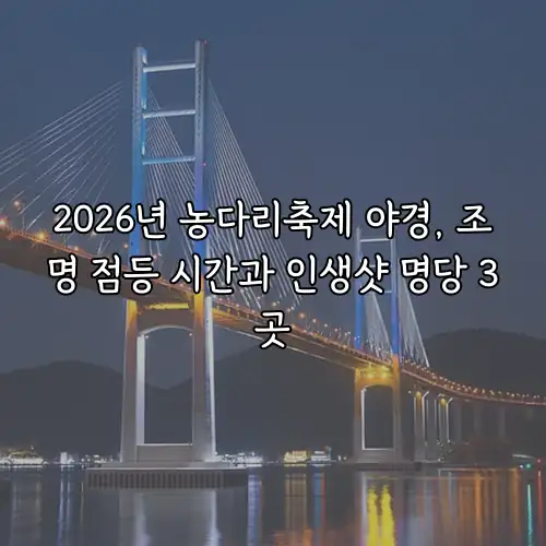 2026년 농다리축제 야경, 조명 점등 시간과 인생샷 명당 3곳
