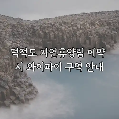 덕적도 자연휴양림 예약 시 와이파이 구역 안내