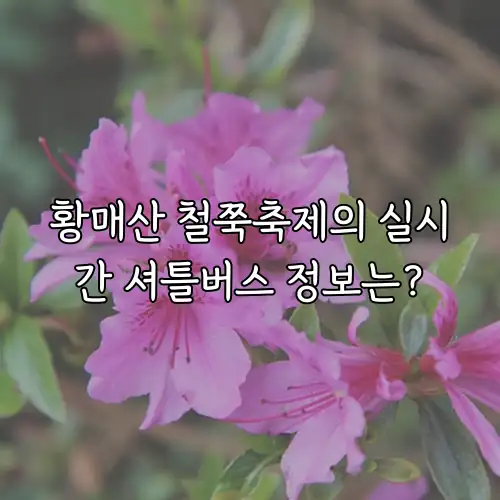 황매산 철쭉축제의 실시간 셔틀버스 정보는?