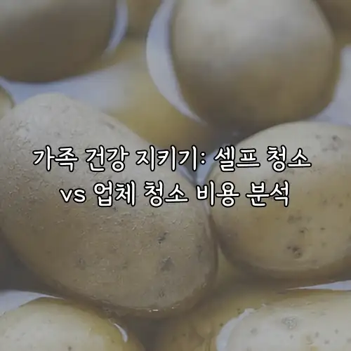 가족 건강 지키기: 셀프 청소 vs 업체 청소 비용 분석