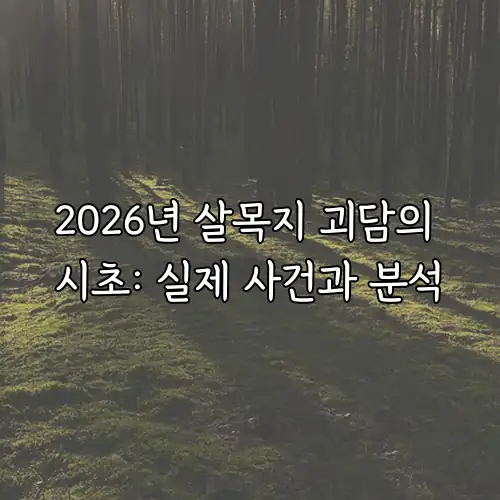 2026년 살목지 괴담의 시초: 실제 사건과 분석