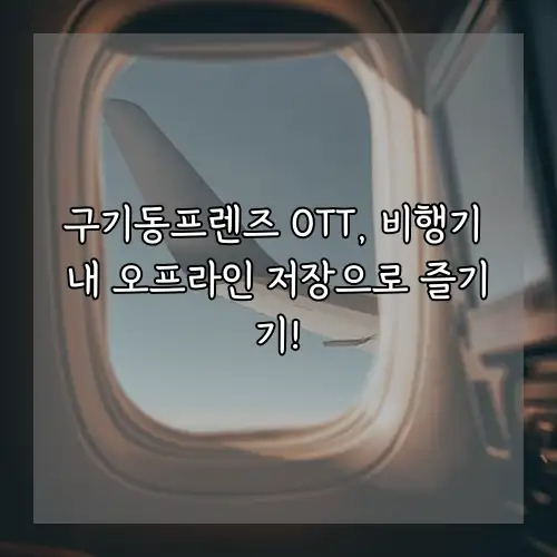 구기동프렌즈 OTT, 비행기 내 오프라인 저장으로 즐기기!