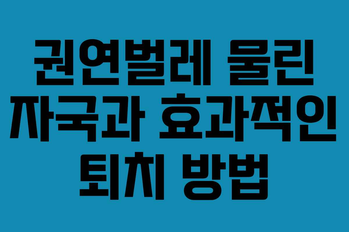 권연벌레-물린-자국과-효과적인-퇴치-방법