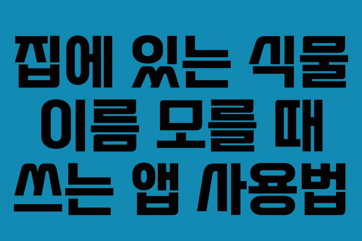 집에-있는-식물-이름-모를-때-쓰는-앱-사용법