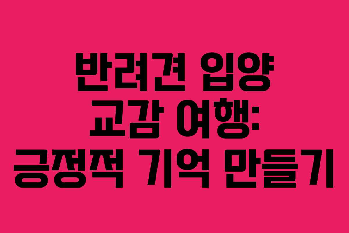 반려견-입양-교감-여행-긍정적-기억-만들기