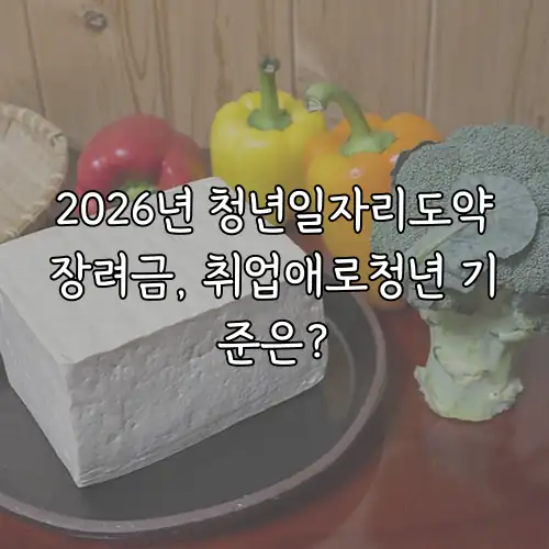 2026년 청년일자리도약장려금, 취업애로청년 기준은?