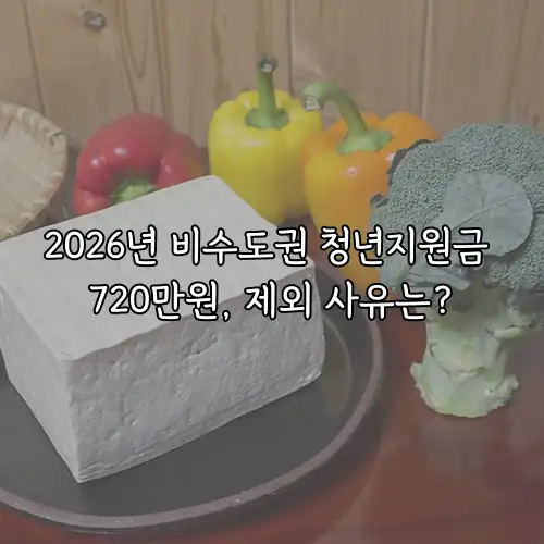 2026년 비수도권 청년지원금 720만원, 제외 사유는?