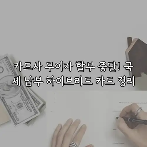 카드사 무이자 할부 중단! 국세 납부 하이브리드 카드 정리