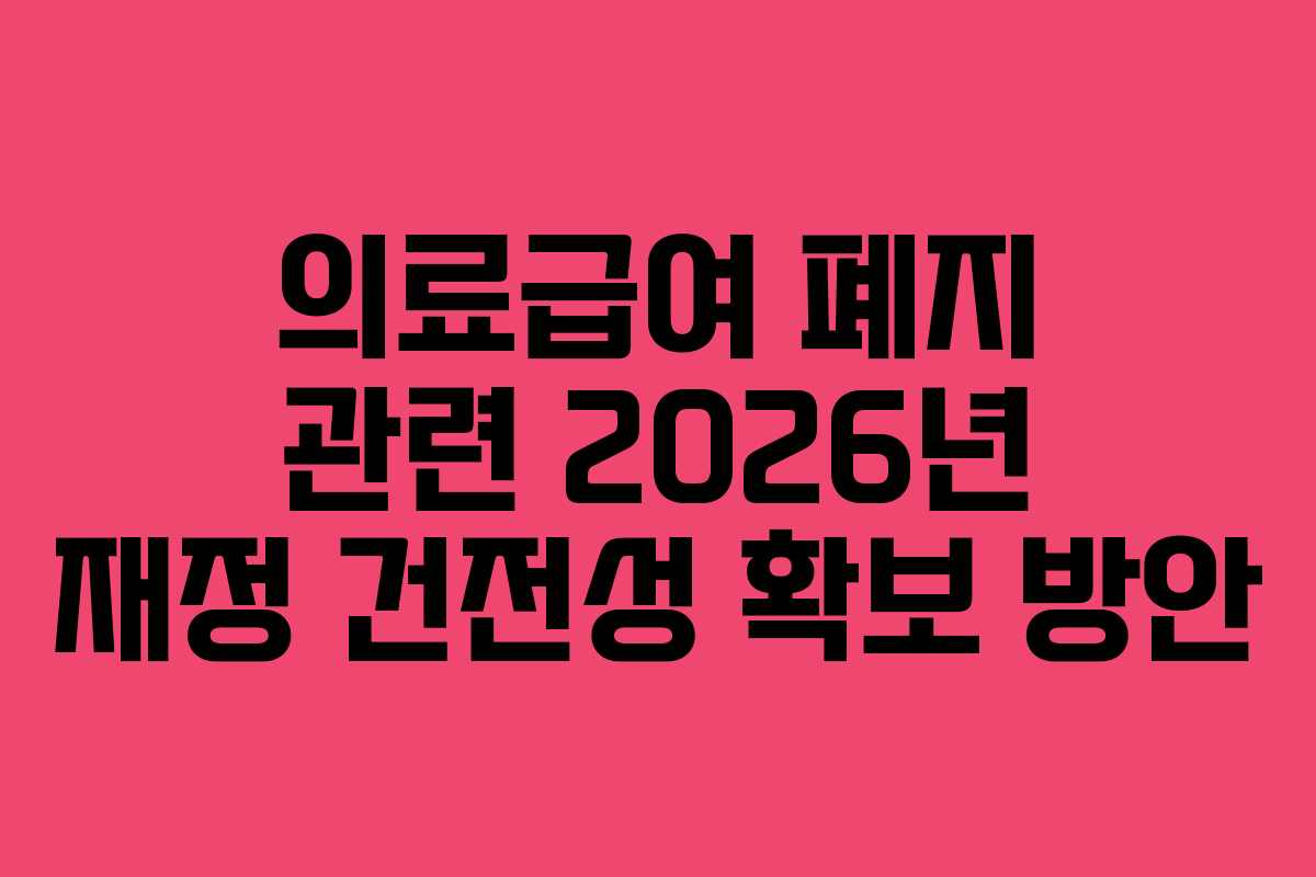 의료급여-폐지-관련-2026년-재정-건전성-확보-방안