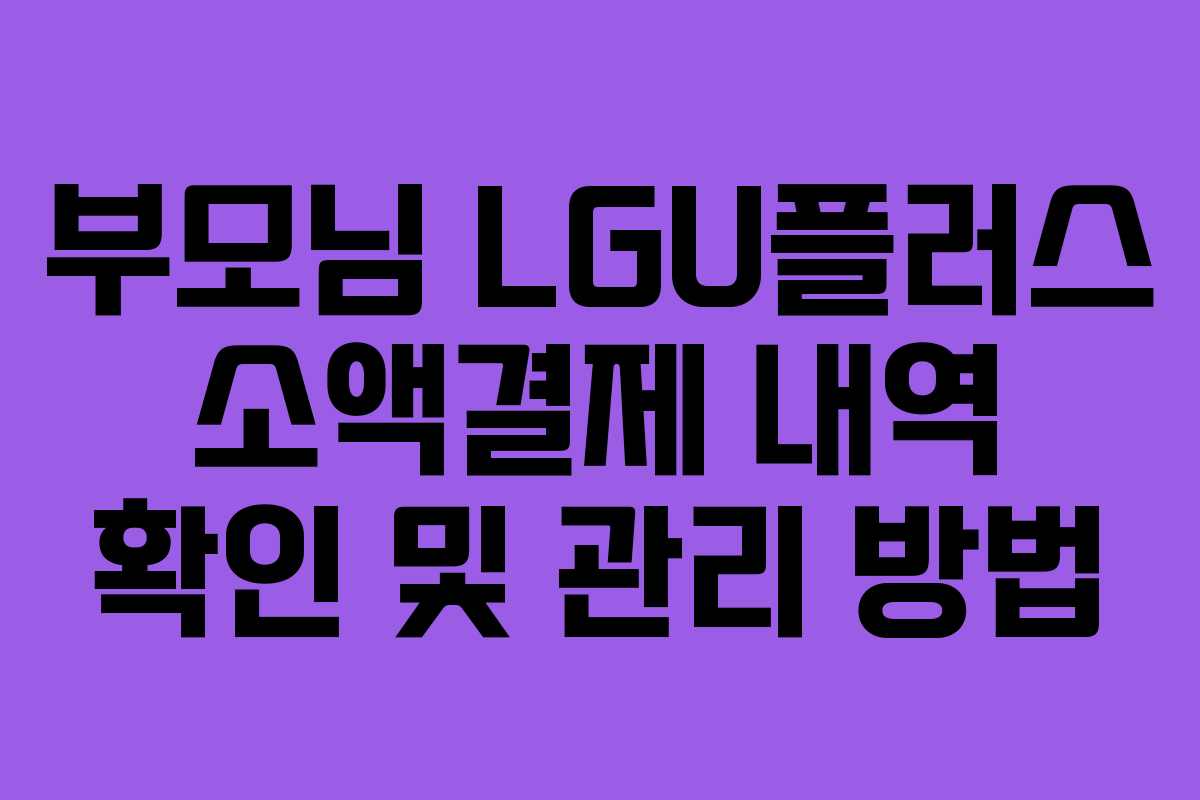 부모님-LGU플러스-소액결제-내역-확인-및-관리-방법