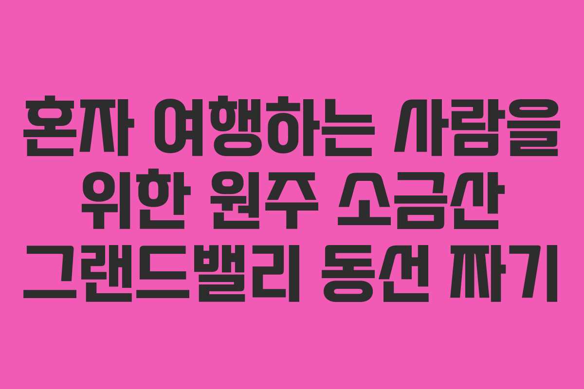 혼자-여행하는-사람을-위한-원주-소금산-그랜드밸리-동선-짜기