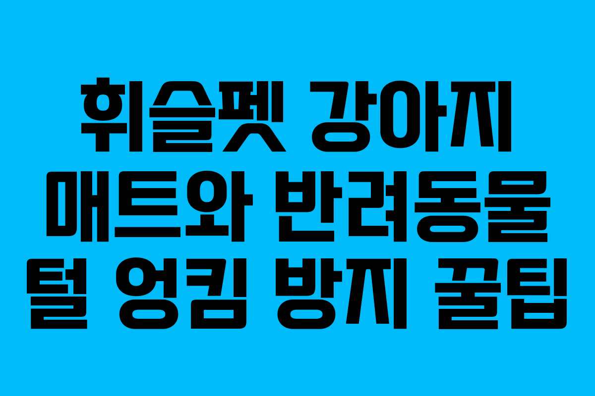 휘슬펫-강아지-매트와-반려동물-털-엉킴-방지-꿀팁