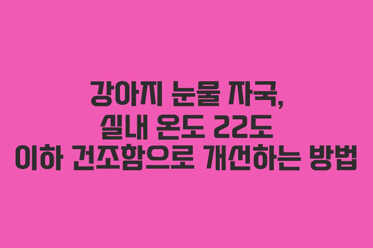 강아지-눈물-자국,-실내-온도-22도-이하-건조함으로-개선하는-방법